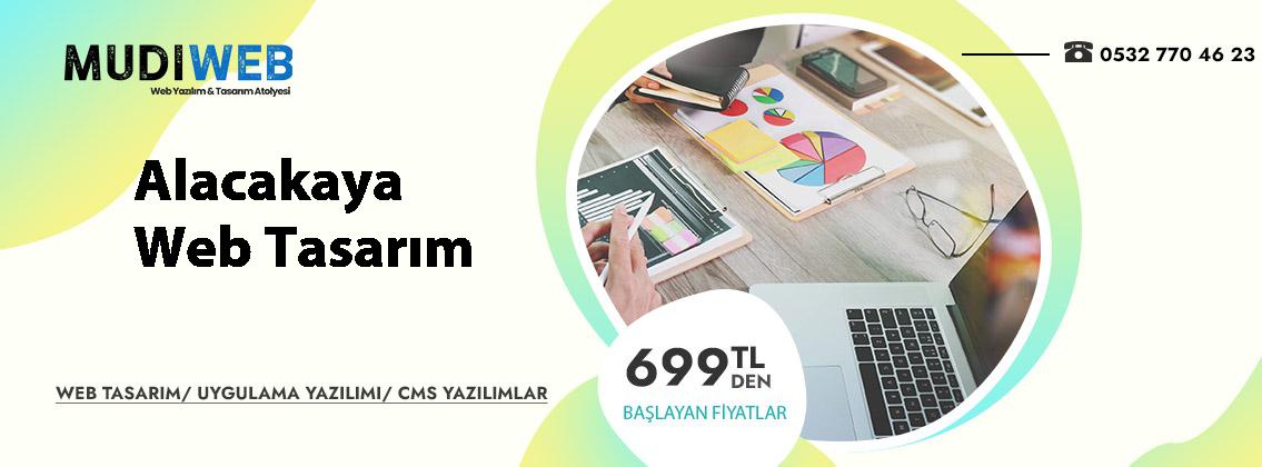 Alacakaya  web tasarım uygun fiyatlar profesyonel çözümler