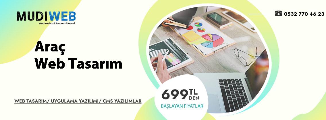 Araç  web tasarım uygun fiyatlar profesyonel çözümler